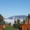 Kedros Village_accommodation_in_Hotel_Central Greece_Evritania_Karpenisi