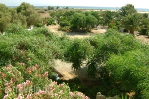 Zanneta Studios_lowest prices_in_Apartment_Cyclades Islands_Naxos_Mikri Vigla