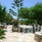 Zanneta Studios_best prices_in_Apartment_Cyclades Islands_Naxos_Mikri Vigla