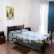 Ionis Studios_accommodation_in_Apartment_Ionian Islands_Lefkada_Lefkada Chora