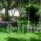 Studios Petra_lowest prices_in_Hotel_Cyclades Islands_Naxos_Naxos chora