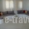 Dimitra_lowest prices_in_Apartment_Cyclades Islands_Antiparos_Antiparos Rest Areas