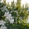 Alhena_holidays_in_Hotel_Central Greece_Evia_Limni