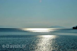 Alhena_best prices_in_Hotel_Central Greece_Evia_Limni