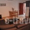 Iliolousto Studios_best prices_in_Room_Dodekanessos Islands_Patmos_Skala