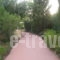 Villa Sofia_best deals_Villa_Dodekanessos Islands_Rhodes_Ialysos