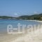Asterias Hotel_best deals_Hotel_Macedonia_Halkidiki_Sykia