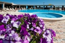 Golden Sun Hotel_s __1