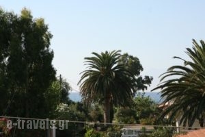 Harris Apartments_accommodation_in_Apartment_Ionian Islands_Corfu_Acharavi