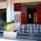 Tree Of Life_best deals_Apartment_Crete_Chania_Agia Marina