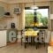 Villiana Holiday Apartments_best deals_Villa_Crete_Heraklion_Malia