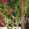 Androulakis Apartments_best deals_Apartment_Crete_Chania_Platanias