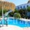 Seashell Apartments_accommodation_in_Apartment_Crete_Chania_Platanias