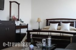 Artemisia Apartment_s __1