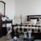 Artemisia Apartment_accommodation_in_Apartment_Cyclades Islands_Sandorini_Fira