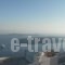 Artemisia Apartment_best deals_Apartment_Cyclades Islands_Sandorini_Fira