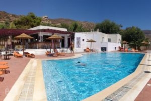 Purple Pig Stars Camping & Bungalows_accommodation_in_Hotel_Cyclades Islands_Ios_Ios Chora