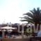 Phillis_travel_packages_in_Macedonia_Halkidiki_Sarti