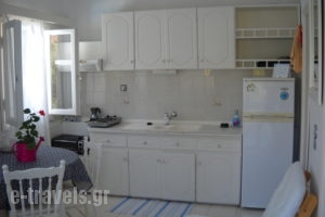 Meltemia_accommodation_in_Apartment_Aegean Islands_Samos_Kambos