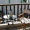 Maestralia_best deals_Room_Sporades Islands_Skyros_Skyros Rest Areas