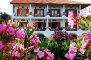 Pantheon Studios & Apartments_travel_packages_in_Aegean Islands_Thasos_Thasos Chora