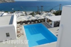 Lithos By Spyros & Flora_s __1