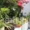 Loukia Apartments & Studios_best deals_Apartment_Cyclades Islands_Paros_Paros Chora