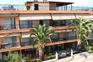 Apartments Dimitra_holidays_in_Apartment_Macedonia_Halkidiki_Paralia Dionysou