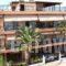 Apartments Dimitra_holidays_in_Apartment_Macedonia_Halkidiki_Paralia Dionysou