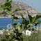 Vardes Hotel Studios_travel_packages_in_Dodekanessos Islands_Karpathos_Karpathos Chora