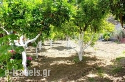 Hariklia_s __1