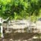 Hariklia_accommodation_in_Room_Crete_Heraklion_Zaros