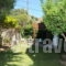 Aphrodite Pension_lowest prices_in_Room_Crete_Rethymnon_Plakias