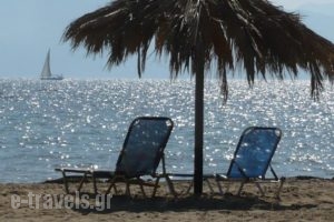 Sweet Dreams_travel_packages_in_Ionian Islands_Corfu_Lefkimi