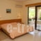 Niki Hotel Apartments_accommodation_in_Apartment_Dodekanessos Islands_Rhodes_Ialysos