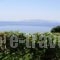 Thanasis Apartments_best deals_Apartment_Ionian Islands_Kefalonia_Kefalonia'st Areas