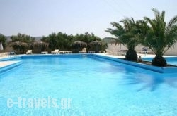 Anthoula Hotel_s __1