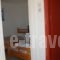 Constantina Zorz Xydakis_holidays_in_Hotel_Cyclades Islands_Mykonos_Mykonos ora