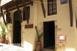 Contessa_s __1