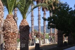 Oasis Tigaki_travel_packages_in_Dodekanessos Islands_Kos_Kos Rest Areas