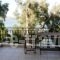 Tzeni Villa_best deals_Villa_Ionian Islands_Lefkada_Vasiliki