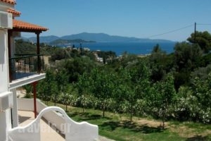 Villa Teozenia_best prices_in_Villa_Thessaly_Magnesia_Milies