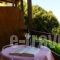 Papa Nero Studios And Apartments_best prices_in_Apartment_Thessaly_Magnesia_Mouresi
