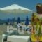 Aggelos Hotel_travel_packages_in_Thessaly_Magnesia_Pilio Area