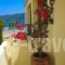 Kalypso studios and apartments_lowest prices_in_Apartment_Ionian Islands_Kefalonia_Kefalonia'st Areas