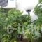 Bonis_accommodation_in_Hotel_Aegean Islands_Samos_Samos Rest Areas