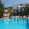 Pension Irene_accommodation_in_Hotel_Cyclades Islands_Ios_Ios Chora