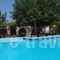 Pension Irene_holidays_in_Hotel_Cyclades Islands_Ios_Ios Chora