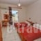 Tassia Studios_best deals_Hotel_Ionian Islands_Zakinthos_Laganas