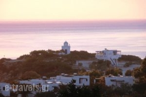 Vardes Hotel Studios_best prices_in_Hotel_Dodekanessos Islands_Karpathos_Karpathos Chora